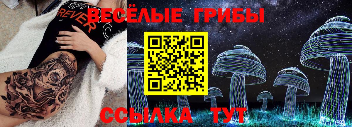 Галлюциногенные грибы Psilocybine cubensis Тамбов