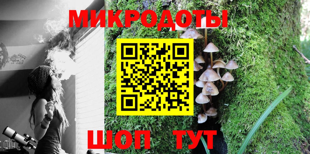 Тамбов  Псилоцибиновые грибы Psilocybe  Вход с VPN  магазин продажи наркотиков  Псилоцибиновые грибы ЛСД 